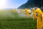 Шкідливість пестицидів на організм людини - Головне управління ...